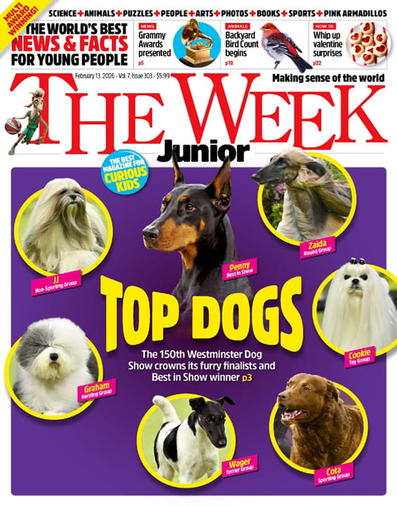 The Week Junior Print+Digital Magazine