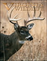 Virginia Wildlife Magazine