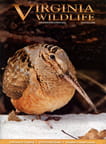 Virginia Wildlife Magazine