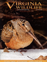 Virginia Wildlife Magazine