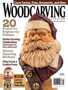 Woodcarving Illustrated-Digital Magazine
