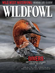 Wildfowl-Digital Magazine