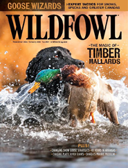 Wildfowl-Digital Magazine