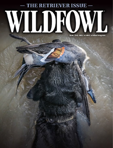 Wildfowl-Digital Magazine