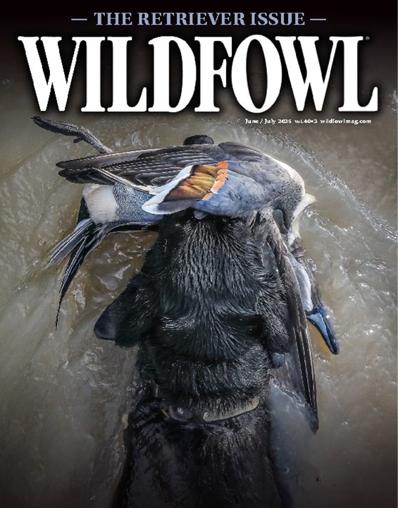 Wildfowl-Digital Magazine