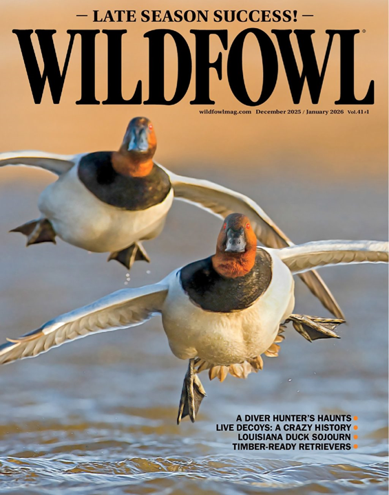 Wildfowl-Digital Magazine