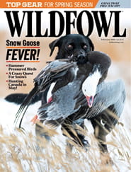 Wildfowl-Digital Magazine
