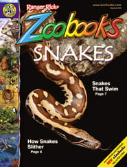 Zoobooks Magazine