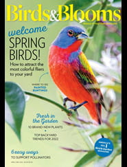 Birds & Blooms Magazine
