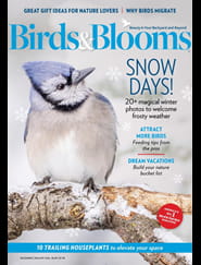 Birds & Blooms - Digital Magazine