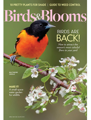 Birds & Blooms - Digital Magazine