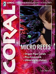 Coral Magazine