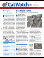 CatWatch Magazine