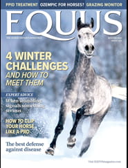 Equus Magazine