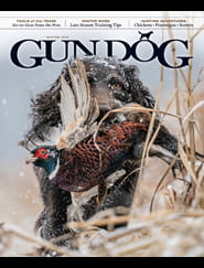 Gun Dog-Digital Magazine