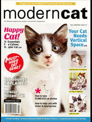 Modern Cat Magazine
