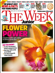 The Week Junior Print+Digital Magazine